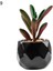 Stil 9 Siyah Seramik Saksı Mini Yapay Yeşil Succulents Bitki Bonsai Seti Sahte Çiçek Vazo Ev Balkon Dekor Masaüstü Süsleme (Yurt Dışından) 1