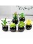 Stil 9 Siyah Seramik Saksı Mini Yapay Yeşil Succulents Bitki Bonsai Seti Sahte Çiçek Vazo Ev Balkon Dekor Masaüstü Süsleme (Yurt Dışından) 3