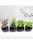 Stil 9 Siyah Seramik Saksı Mini Yapay Yeşil Succulents Bitki Bonsai Seti Sahte Çiçek Vazo Ev Balkon Dekor Masaüstü Süsleme (Yurt Dışından) 4