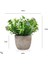 15 Mini Yapay Çiçekler Bitkiler Bonsai Masa Süsü Küçük Simüle Ağaç Saksı Bitkileri Sahte Çiçekler Ofis Masası Saksı Süs Ev (Yurt Dışından) 1