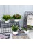 15 Mini Yapay Çiçekler Bitkiler Bonsai Masa Süsü Küçük Simüle Ağaç Saksı Bitkileri Sahte Çiçekler Ofis Masası Saksı Süs Ev (Yurt Dışından) 3
