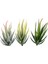 Sarı Banmaluhui Yeşil Pembe Sarı Zebra Aloe Yapay Sulu Meyveler Bitkiler Ev Bahçe Dekorasyonu Dıy Bitkiler Duvar Plastik Sahte Bitkiler Yükseklik = 12 cm (Yurt Dışından) 4