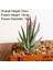 Kırmızı Banmaluhui Yeşil Akın Yapay Succulents Bitkiler Bonsai Masaüstü Sahte Bitkiler Sevgililer Günü Düğün Dekorasyon Plante Artificielle (Yurt Dışından) 1