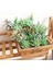 Kırmızı Banmaluhui Yeşil Akın Yapay Succulents Bitkiler Bonsai Masaüstü Sahte Bitkiler Sevgililer Günü Düğün Dekorasyon Plante Artificielle (Yurt Dışından) 2
