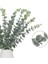 Yeşil WHITE-12PCS 12PCS Yapay Okaliptüs Yaprakları Sahte Yeşil Yaprak Dalları Düğün Partisi Için Açık Bahçe Masa Dekorasyonu Ev Dekor Bitkiler (Yurt Dışından) 4