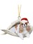 Qq 43 Tür Köpekler Damla Süs Yeni Yıl 2023 Noel Kolye Noel Ağacı Köpek Kolye Şenlikli Parti Malzemeleri Odası Dekorasyon # A (Yurt Dışından) 5