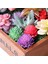 Bei Hua Kırmızı Akın Yapay Succulents Bitkiler Masaüstü Masa Yatak Odası Ofis Mini Bonsai Süs Sahte Bitkiler Ev Bahçe Dekorasyonu (Yurt Dışından) 3