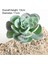 Uzun O Lan Yeşil Akın Yapay Succulents Bitkiler Ev Bahçe Dekorasyonu Çiçek Aranjmanı Banyo Aksesuarları Planta Yapay (Yurt Dışından) 5