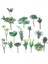 Hong x in x iaoshuilia Küçük Orta Büyük Yeşil Akın Yapay Succulents Bitkiler Ev Yatak Odası Oturma Odası Masaüstü Dekorasyon Sahte Bitkiler Bonsai (Yurt Dışından) 3