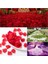 Şampanya Pembesi 100 Adet 100/500/1000 Adet Yapay Gül Yaprakları Romantik Yapay Çiçek Ipek Yaprakları Sevgililer Günü Düğün Çiçek Petal Dekorasyon (Yurt Dışından) 3