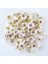 Beyaz Papatya 100 Adet 100 Adet 2 cm Sahte Papatya Çiçek Başları Mini Ipek Yapay Çiçekler Çelenk Scrapbooking Ev Düğün Sevgililer Günü Süslemeleri Için (Yurt Dışından) 1