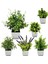 Stil 5 Yapay Bitkiler Lavanta Saksı Bonsai Yeşil Mini Ağaç Bitkiler Ev Bahçe Partisi Otel Dekor Için Sahte Çiçekler Saksı Süsler (Yurt Dışından) 2