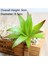 Yeşil Kong x in Cao Yeşil Mini Bonsai Yapay Succulents Bitkiler Ev Bahçe Dekorasyon Sahte Bitkiler 39 Stilleri Pick Up Dıy Plante Artificielle (Yurt Dışından) 4