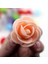 Eti Pembe 100 50/100/200/500 Adet 3 cm Köpük Gül Ayı Yapay Çiçekler Diy Hediyeler Kutusu Düğün Dekoratif Noel Ev Dekor 20 Renk (Yurt Dışından) 2