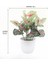 C Yeni Mini Yapay Bitki Bonsai Küçük Simüle Ağaç Saksı Bitkileri Sahte Çiçekler Ofis Masası Saksı Süsler Ev Bahçe Dekor (Yurt Dışından) 1