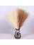 A01 7 Çatal 45 cm Yapay Pampas Çim Buket Yeni Yıl Tatil Düğün Parti Ev Dekorasyonu Bitki Simülasyon Kurutulmuş Çiçek Kamış (Yurt Dışından) 5