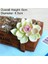 Bao Lian Hua 1 Adet Beyaz Akın Yapay Succulents Bitkiler Çiçek Aranjmanı Aksesuarları Masaüstü Bonsai Ev Bahçe Dekorasyonu Sahte Bitkiler (Yurt Dışından) 1