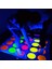 10 Adet 12 Inç Pembe Neon Kağıtlar Glow Kart Stoğu Dıy Dans Pisti Hareketleri Oyunları Klasik Twister Uv Reaktif Kart Stoğu Glow Parti Dekorasyon Malzemeleri (Yurt Dışından) 3