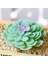 Stil 9 Yeşil Akın Yapay Succulents Bitkiler Ev Bahçe Dekorasyon Çiçek Aranjmanı Banyo Aksesuarları Planta Yapay (Yurt Dışından) 5