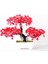 Kırmızı Yapay Bitkiler Çam Bonsai Küçük Ağaç Saksı Bitkileri Bir Simülasyon Lotus Çam Sahte Çiçek Bonsai Seti Saksı Yeşil Bitkiler Otel (Yurt Dışından) 1
