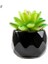 Stil 2 Siyah Seramik Saksı Mini Yapay Yeşil Succulents Bitki Bonsai Seti Sahte Çiçek Vazo Ev Balkon Dekor Masaüstü Süsleme (Yurt Dışından) 1