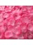Durk Pembe 100 Adet 100/500/1000 Adet Yapay Gül Yaprakları Romantik Yapay Çiçek Ipek Yaprakları Sevgililer Günü Düğün Çiçek Petal Dekorasyon (Yurt Dışından) 1