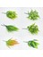 1 Adet Succulents 32 cm Adet Yapay Boston Fern Bitkiler Plastik Yapay Çalılar Yeşillik Ev Açık Bahçe Ofis Dekor Için Taklit Bitkiler (Yurt Dışından) 3