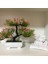 Gül Kırmızı 2 Konuksever Çam Bonsai Yapay Plastik Yeşil Bitki Saksı Sahte Küçük Ağaç Ev Masa Dekorasyon Bahçe Düzenleme Süsler (Yurt Dışından) 5