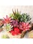 x ian Ren Ke Yeşil Yapay Yeşil Mor Kırmızı Akın Etli Bitkiler Dıy Ev Bahçe Ofis Düğün Dekorasyon Mini Bonsai Plante Artificielle (Yurt Dışından) 5