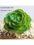 Yeşil Yuanxinmei 39 Stilleri Yeşil Yapay Succulents Bitkiler Ev Bahçe Dekorasyon Düğün Bitkileri Duvar Çiçek Aranjmanı Bonsai Sahte Bitkiler (Yurt Dışından) 1