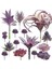 Stil-K Mor Mini Yapay Succulents Bitkiler Mor Sahte Çiçekler Açık Bahçe Dıy Ev Masa Dekorasyon Için Simülasyon Akın (Yurt Dışından) 2