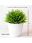 Fengweicao Yeşil Yeni Yeşil Küçük Ağaç Saksı Bonsai Süsler Ev Bahçe Otel Banyo Yatak Odası Dekorasyon Yapay Bitkiler Bonsai Sahte Bitkiler (Yurt Dışından) 1