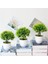 Fengweicao Yeşil Yeni Yeşil Küçük Ağaç Saksı Bonsai Süsler Ev Bahçe Otel Banyo Yatak Odası Dekorasyon Yapay Bitkiler Bonsai Sahte Bitkiler (Yurt Dışından) 3