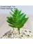 Yeşil Şarkı Guo Yeşil Yapay Succulents Bitkiler Ev Bahçe Yatak Odası Balkon Masaüstü Masa Mini Bonsai Düğün Parti Dekorasyon Sahte Bitkiler (Yurt Dışından) 1