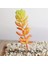 Güz Foshoucao 39 Stilleri Yeşil Yapay Succulents Bitkiler Ev Bahçe Dekorasyon Düğün Bitkileri Duvar Çiçek Aranjmanı Bonsai Sahte Bitkiler (Yurt Dışından) 1