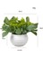 19 Mini Yapay Çiçekler Bitkiler Bonsai Masa Süsü Küçük Simüle Ağaç Saksı Bitkileri Sahte Çiçekler Ofis Masası Saksı Süs Ev (Yurt Dışından) 1