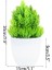 B06 1 Adet Mini Yapay Bitkiler Bonsai Sahte Çiçekler Aloe Masa Saksı Süsler Küçük Simüle Ağaç Pot Bitki Ev Dekorasyon El Sanatları (Yurt Dışından) 1