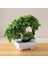13 x 11 cm Yapay Bitki Yapay Çiçek Ev Dekor Bonsai Ağacı Pot Bitki Sahte Çiçek Saksı Süs Ev Odası Bahçe Dekorasyonu Için (Yurt Dışından) 3