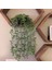 Okaliptüs Grisi 35-40 cm Yapay Okaliptüs Rattan Sahte Asılı Bitki Saksı Yeşil Bitki Duvar Odası Ev Iç Raf Dekoru Için Uygun Mandala Vine (Yurt Dışından) 5