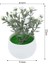 F05 1 Adet Mini Yapay Bitkiler Bonsai Sahte Çiçekler Aloe Masa Saksı Süsler Küçük Simüle Ağaç Pot Bitki Ev Dekorasyon El Sanatları (Yurt Dışından) 1