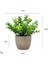16 Mini Yapay Çiçekler Bitkiler Bonsai Masa Süsü Küçük Simüle Ağaç Saksı Bitkileri Sahte Çiçekler Ofis Masası Saksı Süs Ev (Yurt Dışından) 1