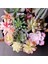 Fg Feizhouluhui Yapay Succulents Bitkiler Beyaz Pembe Yeşil Plastik Sahte Bitkiler Peyzaj Bonsai Plantas Artificiales Ev Bahçe Dekorasyonu (Yurt Dışından) 2