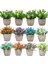 24 Mini Yapay Çiçekler Bitkiler Bonsai Masa Süsü Küçük Simüle Ağaç Saksı Bitkileri Sahte Çiçekler Ofis Masası Saksı Süs Ev (Yurt Dışından) 2
