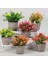 24 Mini Yapay Çiçekler Bitkiler Bonsai Masa Süsü Küçük Simüle Ağaç Saksı Bitkileri Sahte Çiçekler Ofis Masası Saksı Süs Ev (Yurt Dışından) 4