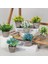 24 Mini Yapay Çiçekler Bitkiler Bonsai Masa Süsü Küçük Simüle Ağaç Saksı Bitkileri Sahte Çiçekler Ofis Masası Saksı Süs Ev (Yurt Dışından) 5