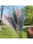 Siyah 90 cm 1 Pc Yapay Pampas Çim Sahte Sazlık Dekor Vazo Dolgular Sonsuz Çiçek Dekor Centerpieces Düğün Kemer Çiçek Sahte Bitkiler (Yurt Dışından) 5