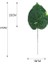 Juan Bu Luluoye Yapay Tropikal Monstera Kwai Palmiye Ağacı Yaprakları Ev Bahçe Dekorasyonu Sahte Bitkiler Fotoğraf Arka Plan Plante Artificielle (Yurt Dışından) 1