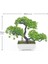 1 Adet Mini Yapay Aloe Bitkiler Bonsai Küçük Simüle Ağaç Saksı Bitkileri Sahte Çiçekler Ofis Masası Saksı Süsler Ev Bahçe Dekor (Yurt Dışından) 1