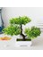 Beyaz Yapay Plastik Bitkiler Bonsai Küçük Ağaç Saksı Sahte Bitki Saksı Çiçek Ev Odası Masa Dekorasyon Bahçe Düzenleme Süsler (Yurt Dışından) 2