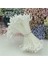 Floresan Yeşil 400 Adet 1mm Retro Mat Çift Kafaları Mini Çiçek Ercik Pistil Düğün Dekorasyon Dıy Sahte Noel Scrapbooking Hediye Kutusu Zanaat (Yurt Dışından) 3